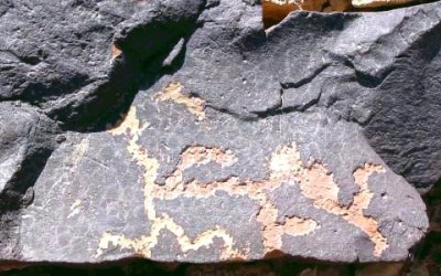 Canaanite myth of the Baal and Mot cycle in Negev Rock Art  