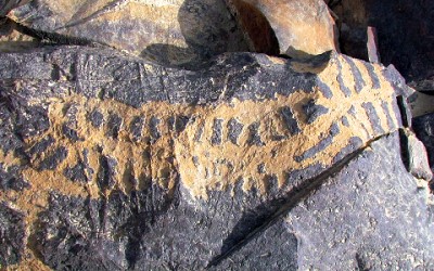 Guidelines for Rock Art interpertation